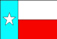 Texas flag